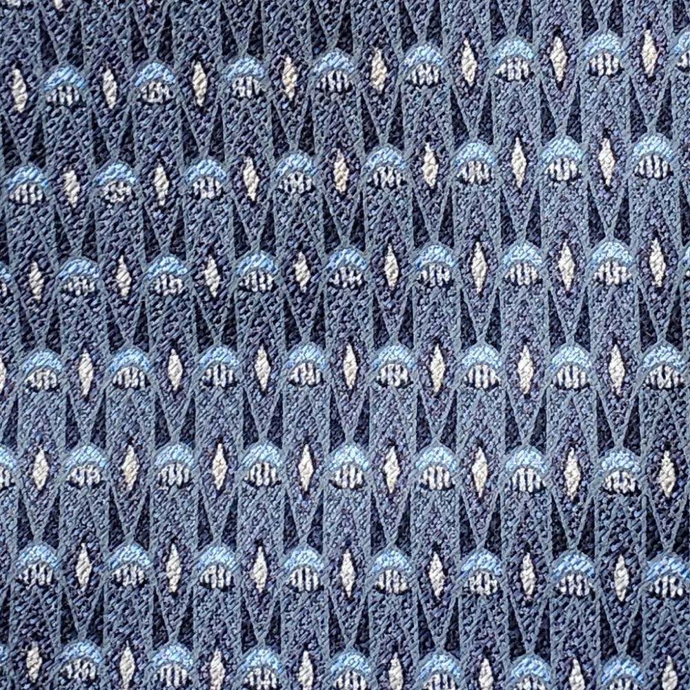 Carlos Devenezia gray/blue silk tie
